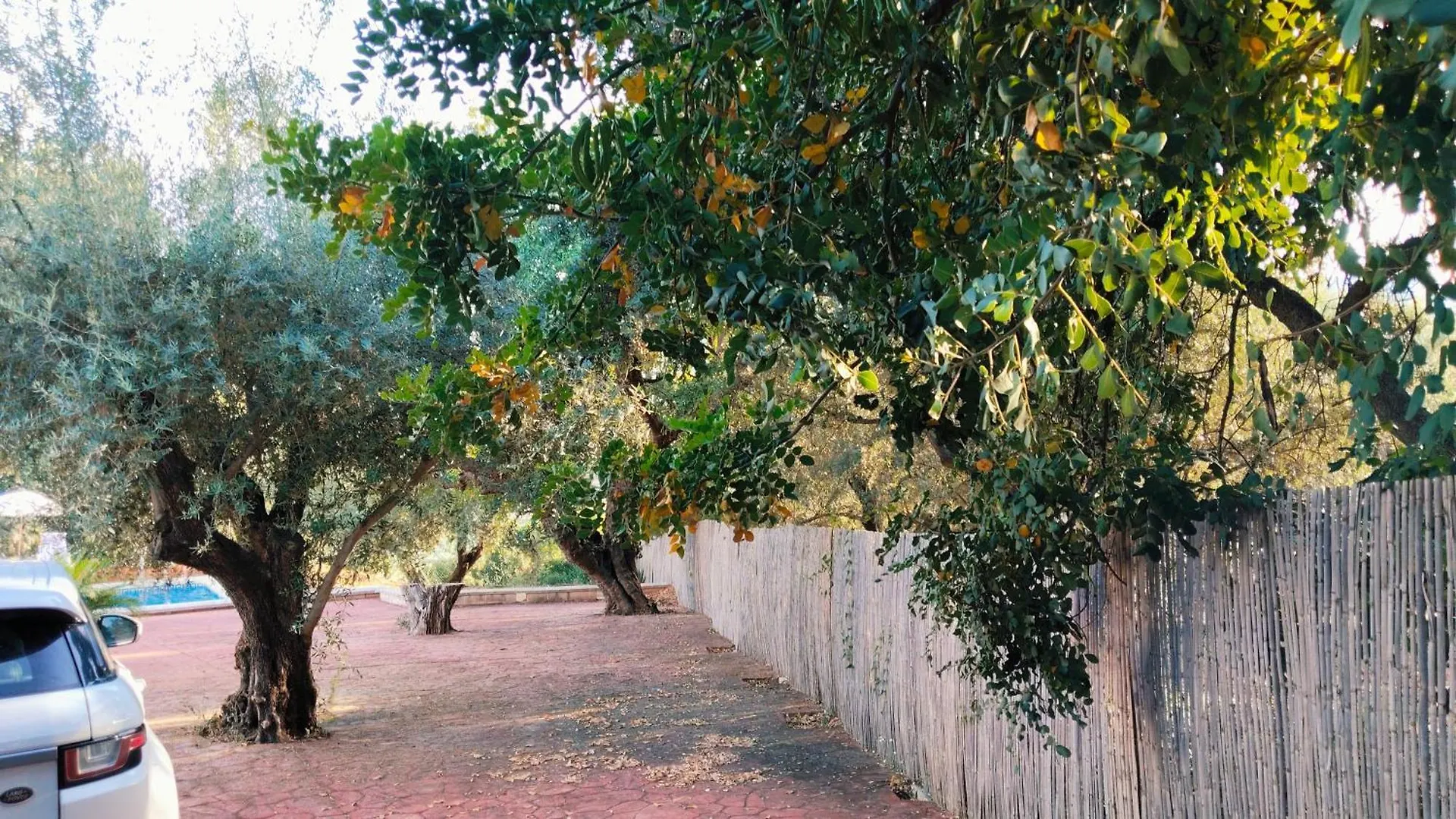 Periana Los Treboles בית נופש